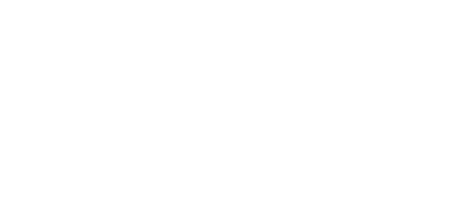 xfnano